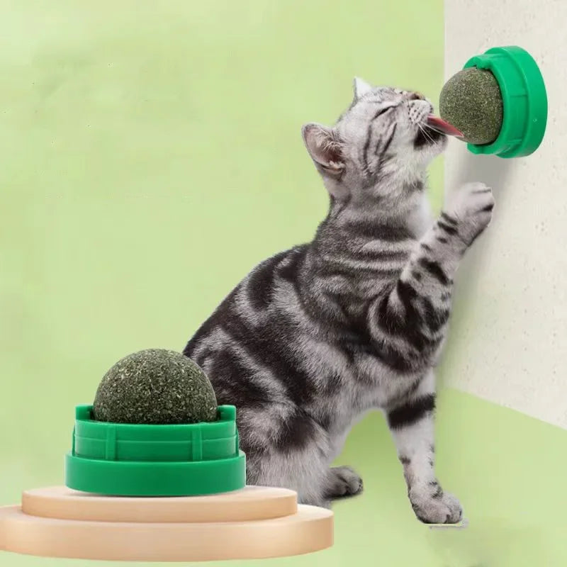 Bola de Catnip Adesiva 360° para Gatos – Brinquedo Natural com Fixação na Parede