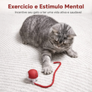 SmartPaw Orbit™ - Bola Interativa Inteligente