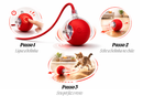SmartPaw Orbit™ - Bola Interativa Inteligente